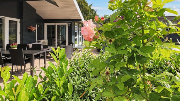 Ein modernes Haus mit einer Terrasse, Sitzgelegenheiten im Freien und einem Rosenbusch im Vordergrund.