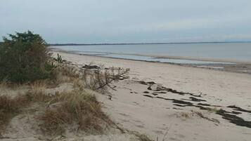 A beach with sand, sparse vegetation, and a distant shoreline.