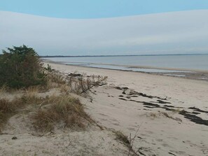 A beach with sand, sparse vegetation, and a distant shoreline. - Peaceful Holiday Home in Falster near Sea (Vaeggerlose)