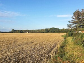 الإطلالة من المنشأة