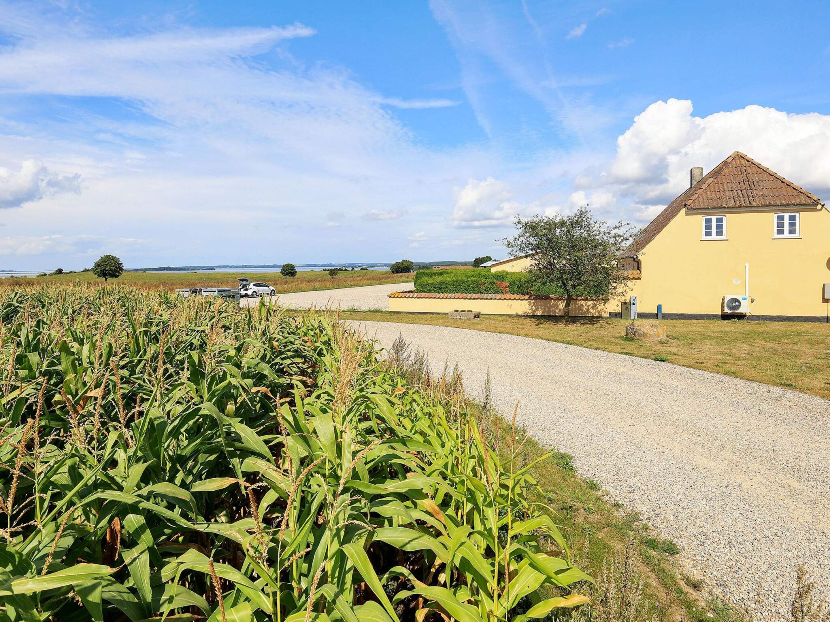 Een landelijk landschap met een kiezelweg, een geel huis met een pannendak, en een veld met groene gewassen.