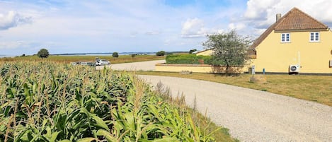 Apartment | Property grounds