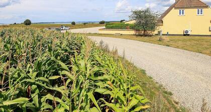 6 Person Holiday Home in Faaborg-by Traum