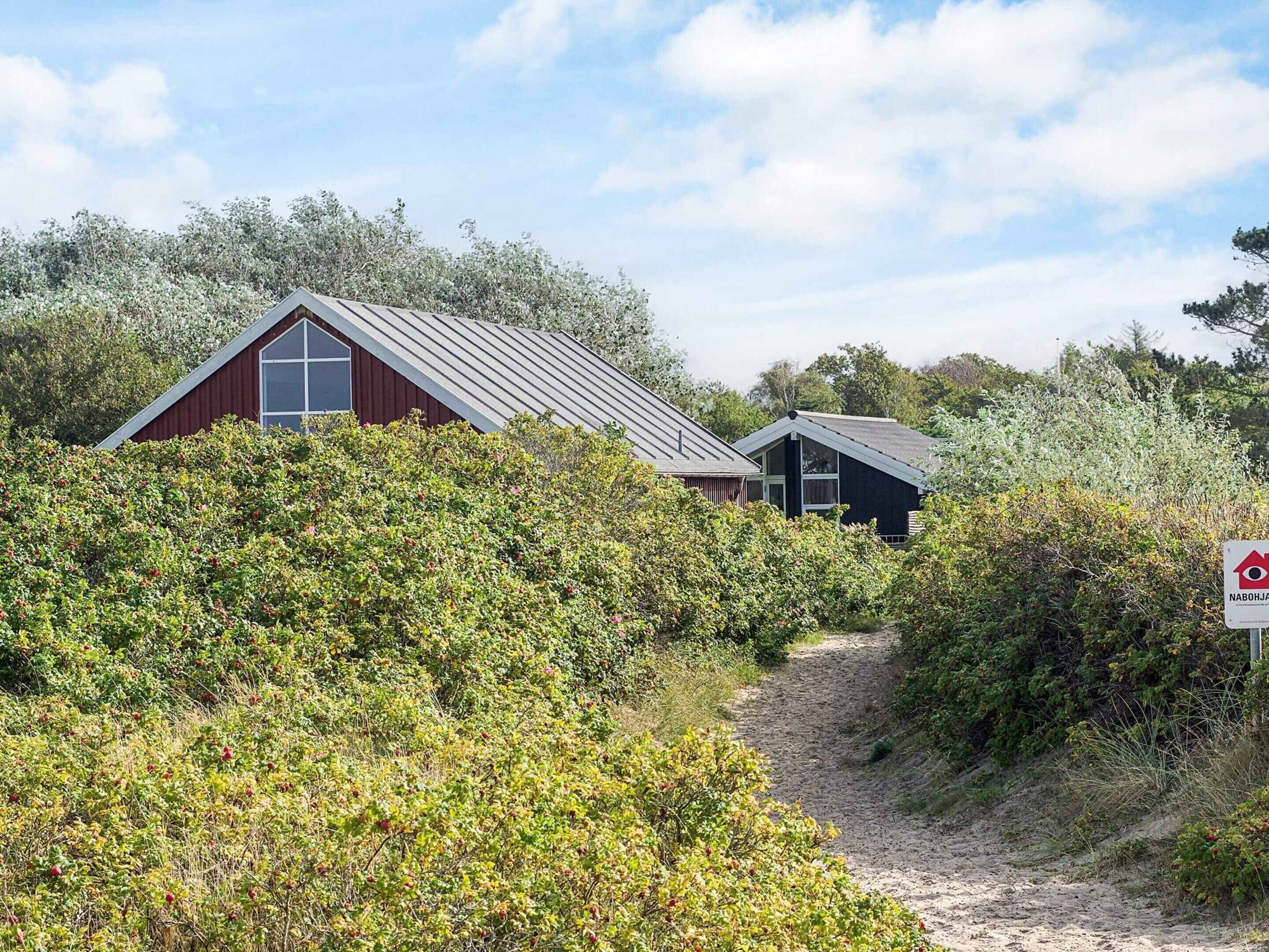A coastal building with a red exterior and a metal roof, surrounded by dense greenery and a sandy path leading to it.