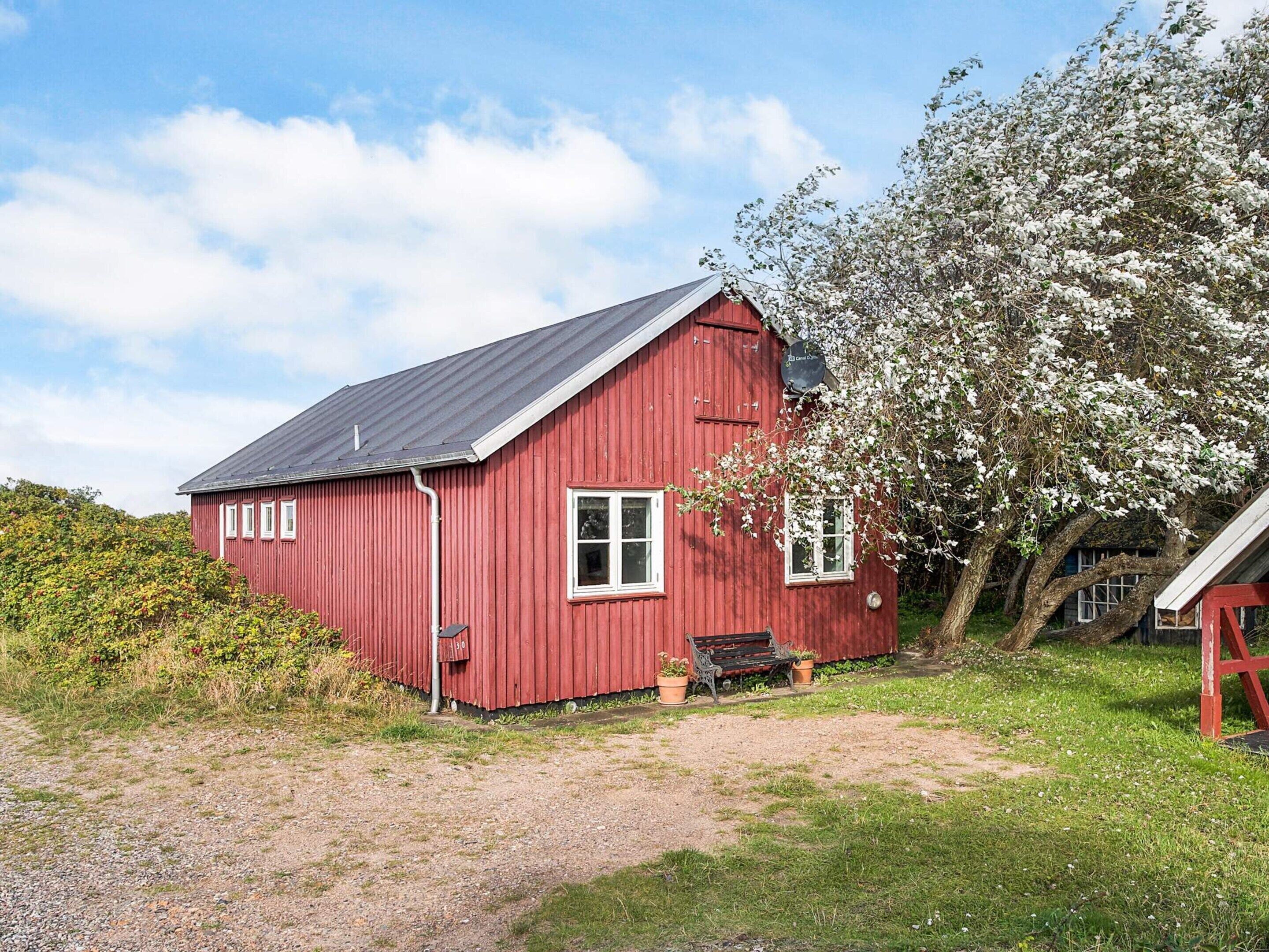 A red wooden house with a sloped roof, a bench, and a tree with white blossoms.