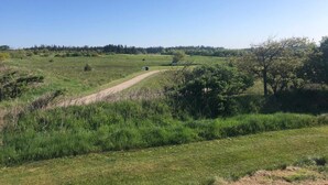A rural landscape with a dirt path leading through a field of grass and scattered trees.