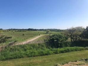 Paisagem rural com uma trilha de terra que serpenteia por um campo de grama e árvores esparsas.