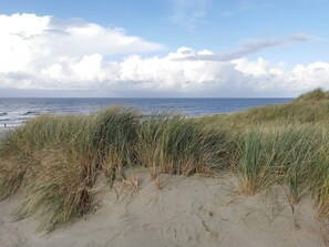 A beach with sand dunes and the ocean in the background.