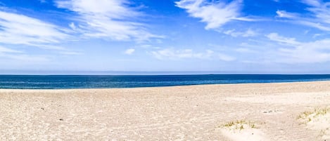Uma praia com céu claro e oceano.