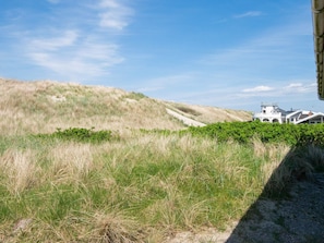 Imagen sin descripción, 5 de 48, botón