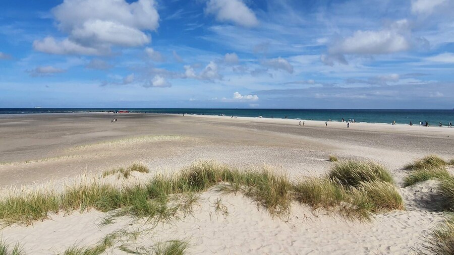 Comfortable Holiday Home in Jutland with Hot Tub