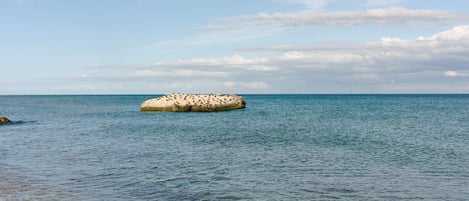 A calm sea with a rocky outcrop in the distance.