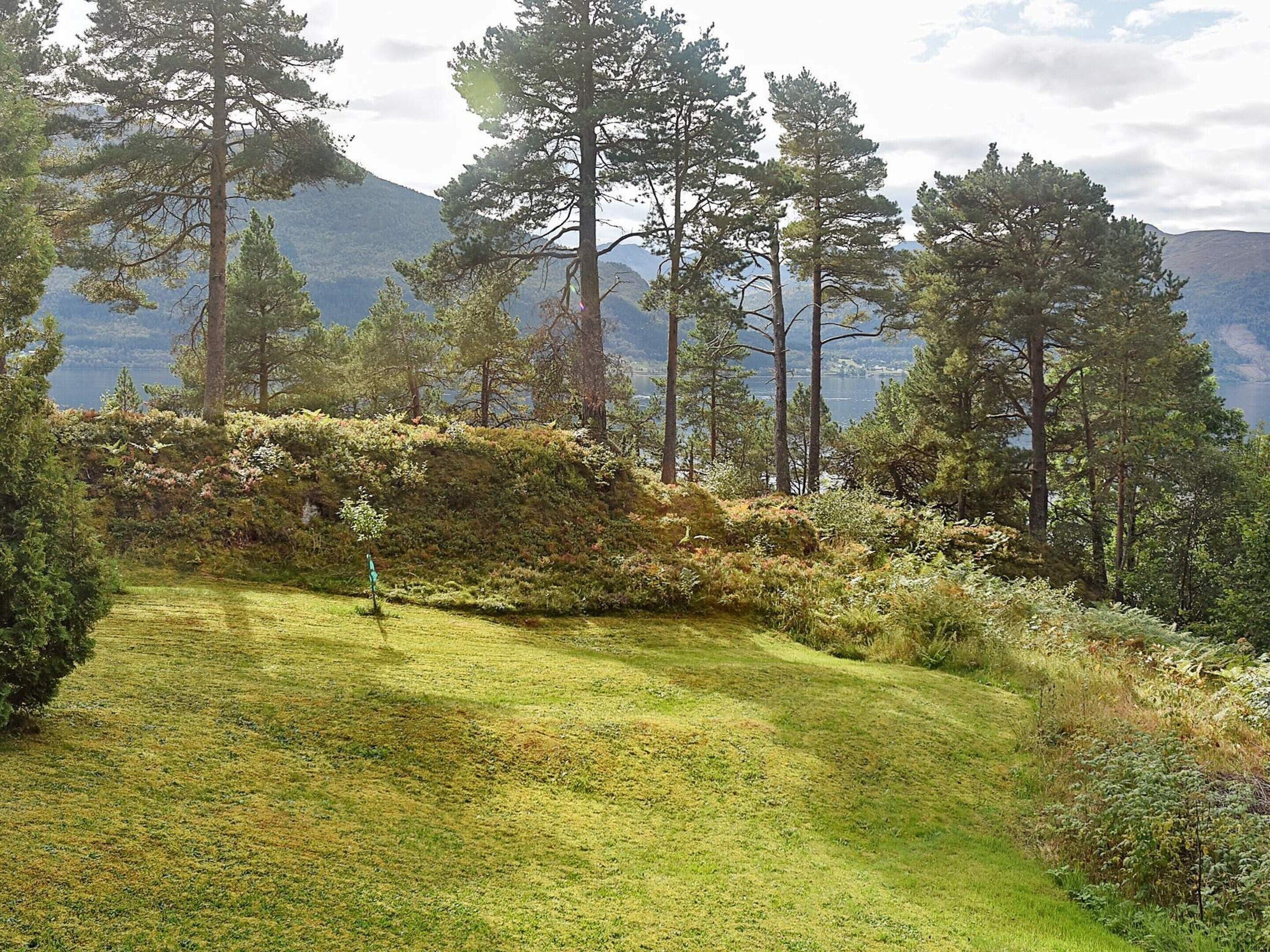 A natural landscape with a grassy area, trees, and a hill in the background.