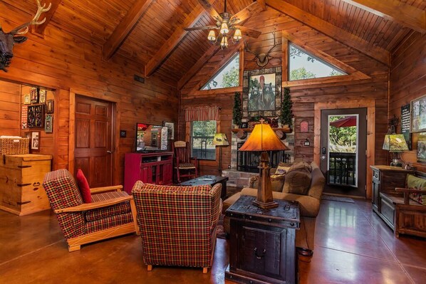 Televisión, chimenea, reproductor de DVD y estéreo 