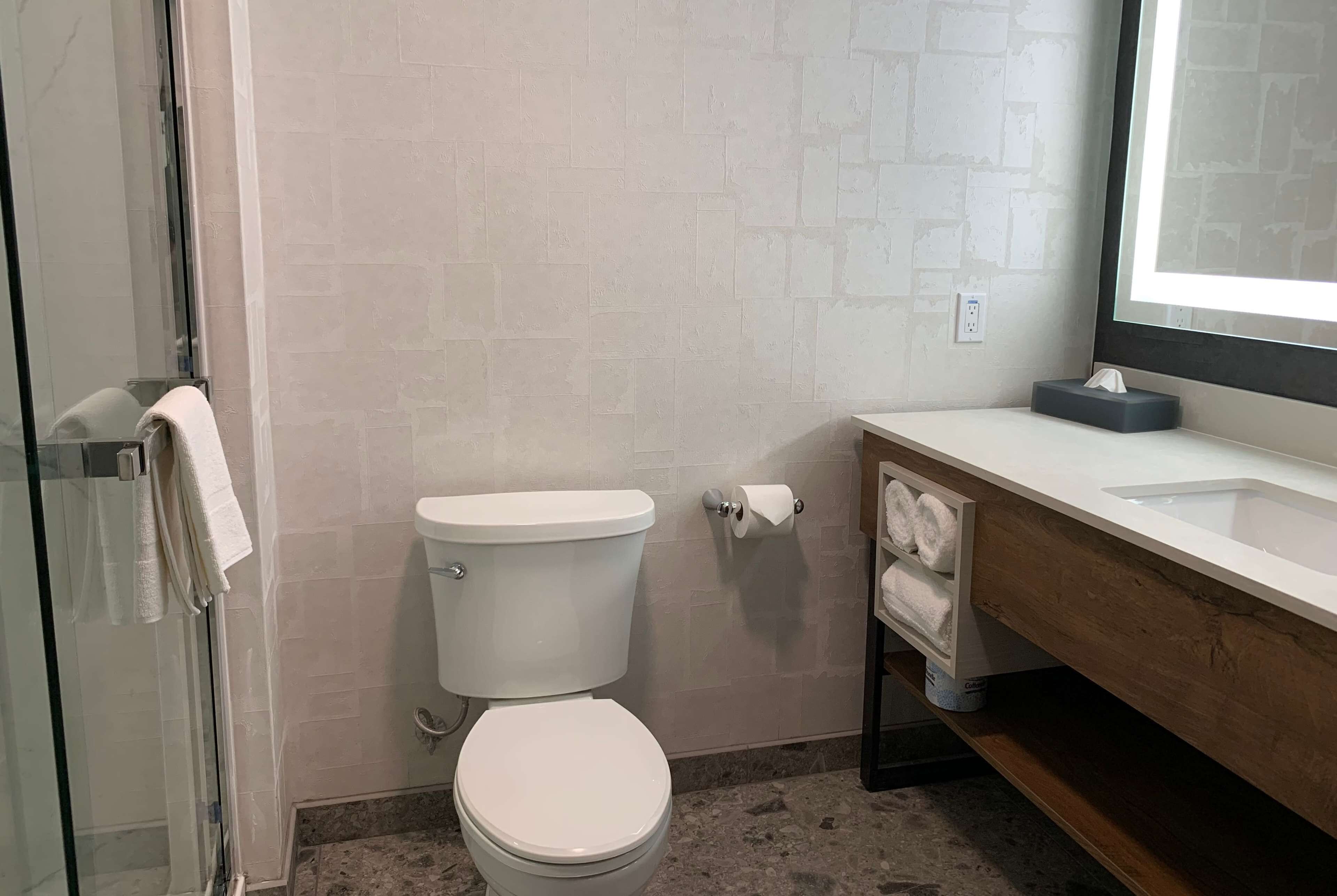 Een badkamer met toilet, wastafel, spiegel en handdoekhouder.