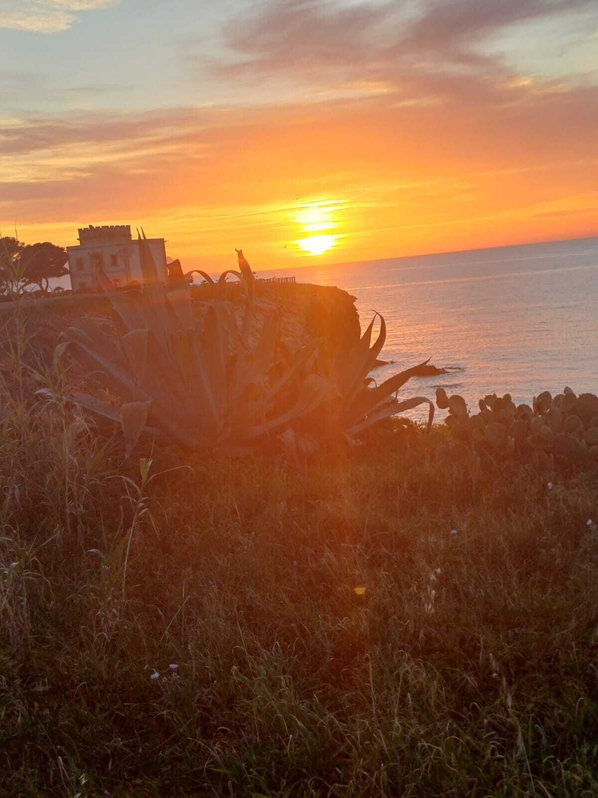 Um pôr do sol sobre uma área costeira, com um edifício e vegetação em primeiro plano.