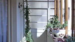 A narrow corridor with a potted plant, a door, and a window with blinds. - Residenza Oltrarno, an elegant apartment in the historic center of Florence (Firenze)