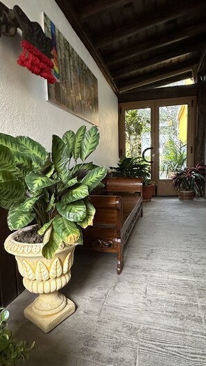 Een hal met een grote potplant, houten meubels en een deur die naar buiten leidt.