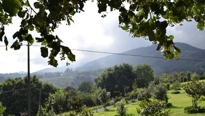 A lush green landscape with a variety of trees and shrubs, a clear sky, and distant mountains. - Rural house Caserío Ibarrola Txiki for 12 people. (Usurbil)
