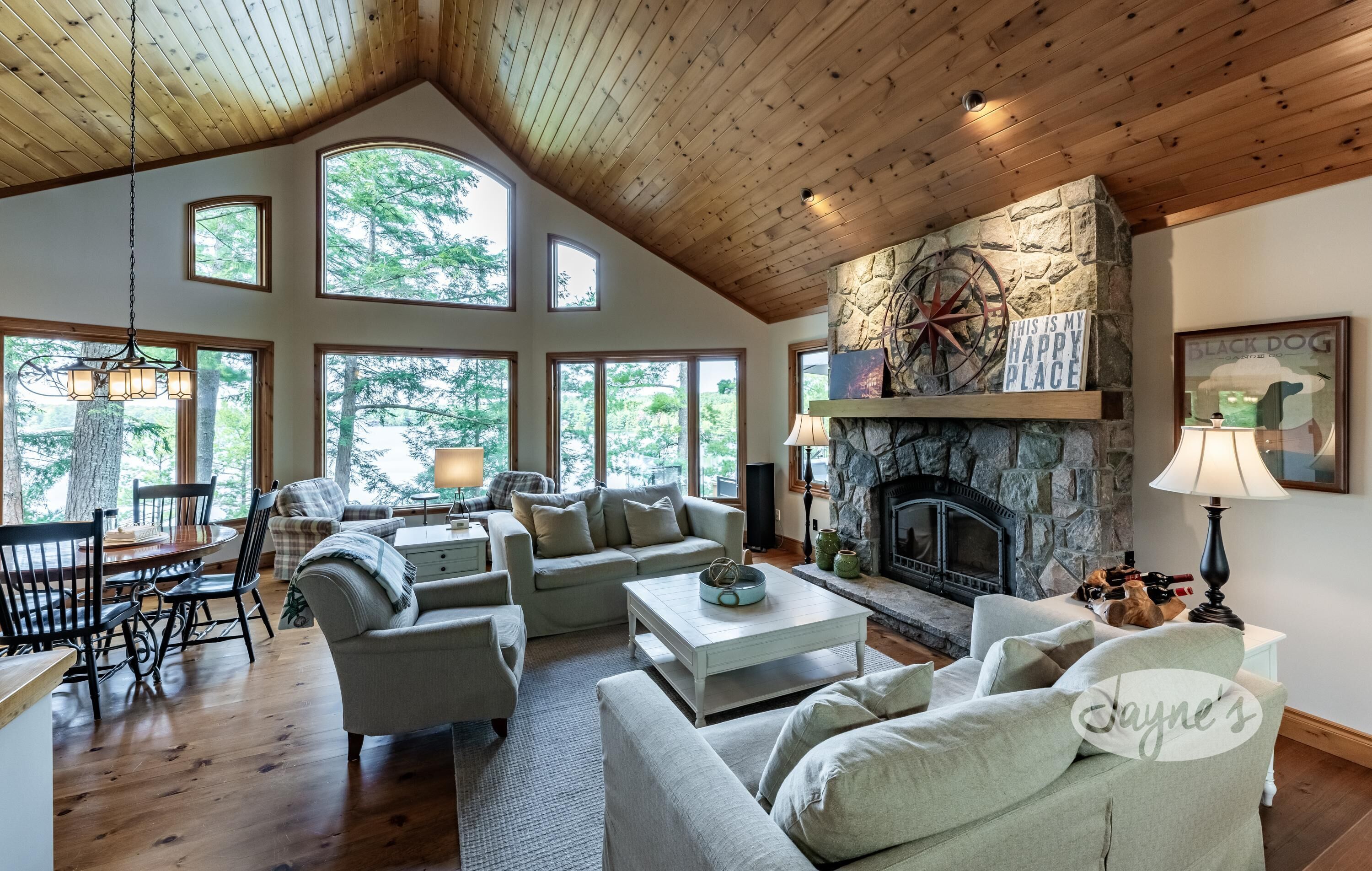 Smart TV, fireplace, books