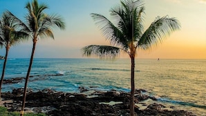 Una playa con palmeras y costa rocosa.