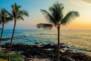 On the beach, sun-loungers, beach towels