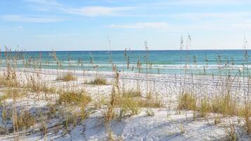 Una spiaggia nelle vicinanze