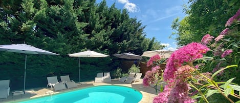Seasonal outdoor pool, open 10:00 AM to 8:00 PM, sun loungers