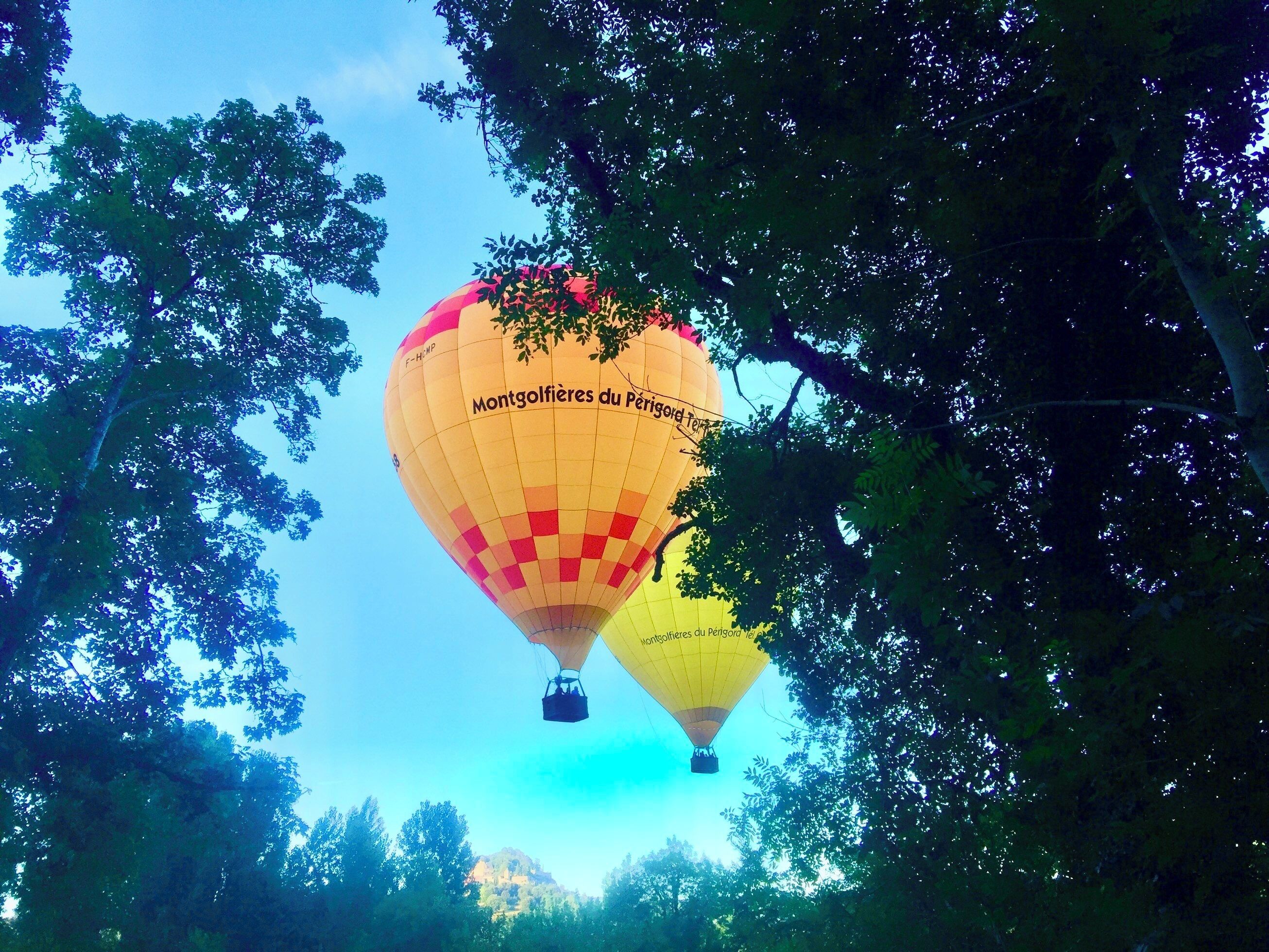 Two hot air balloons with "Montgolfières du Périgord Tour" written on them, surrounded by trees.