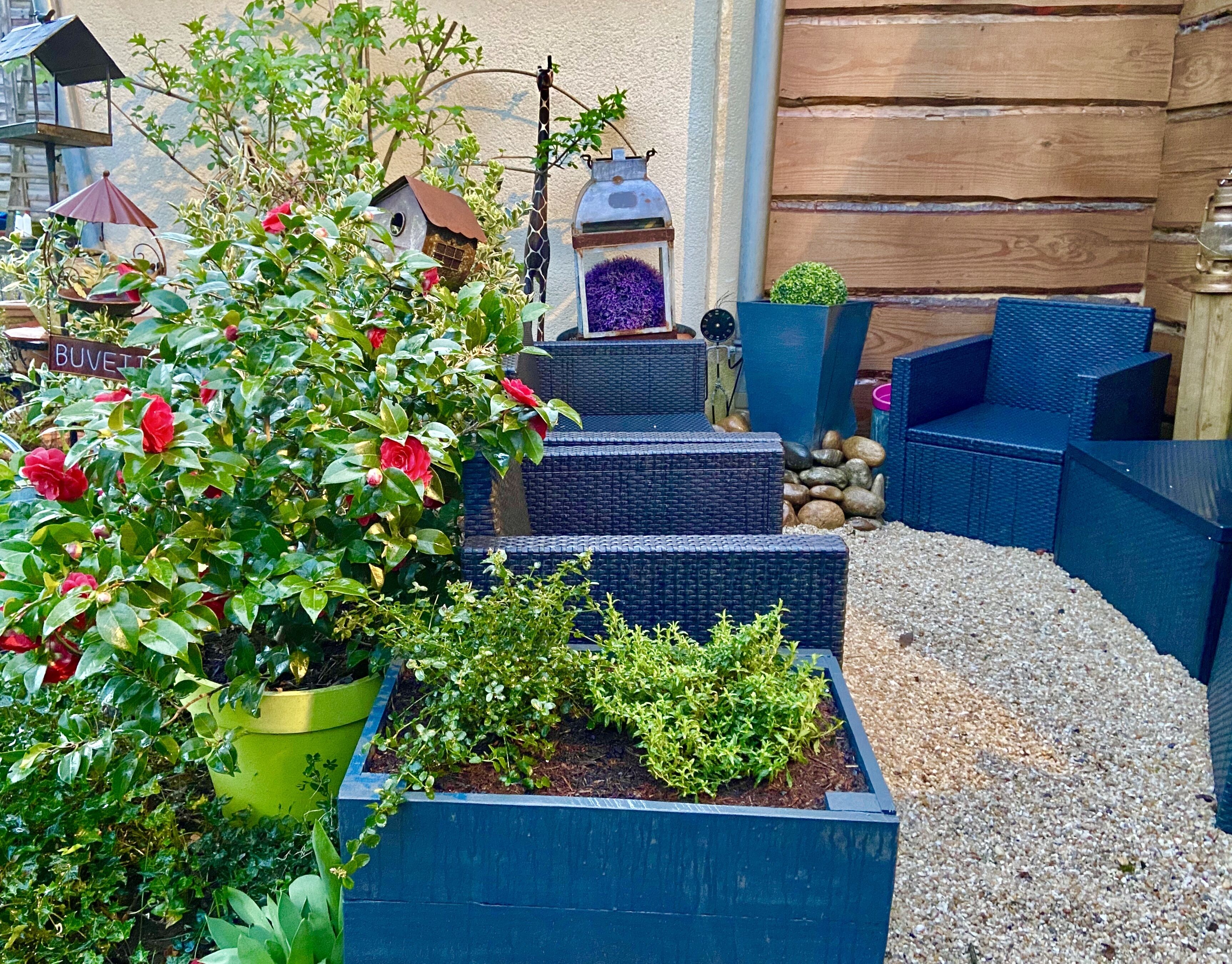 A garden with potted plants, a birdhouse, and a small wooden structure.