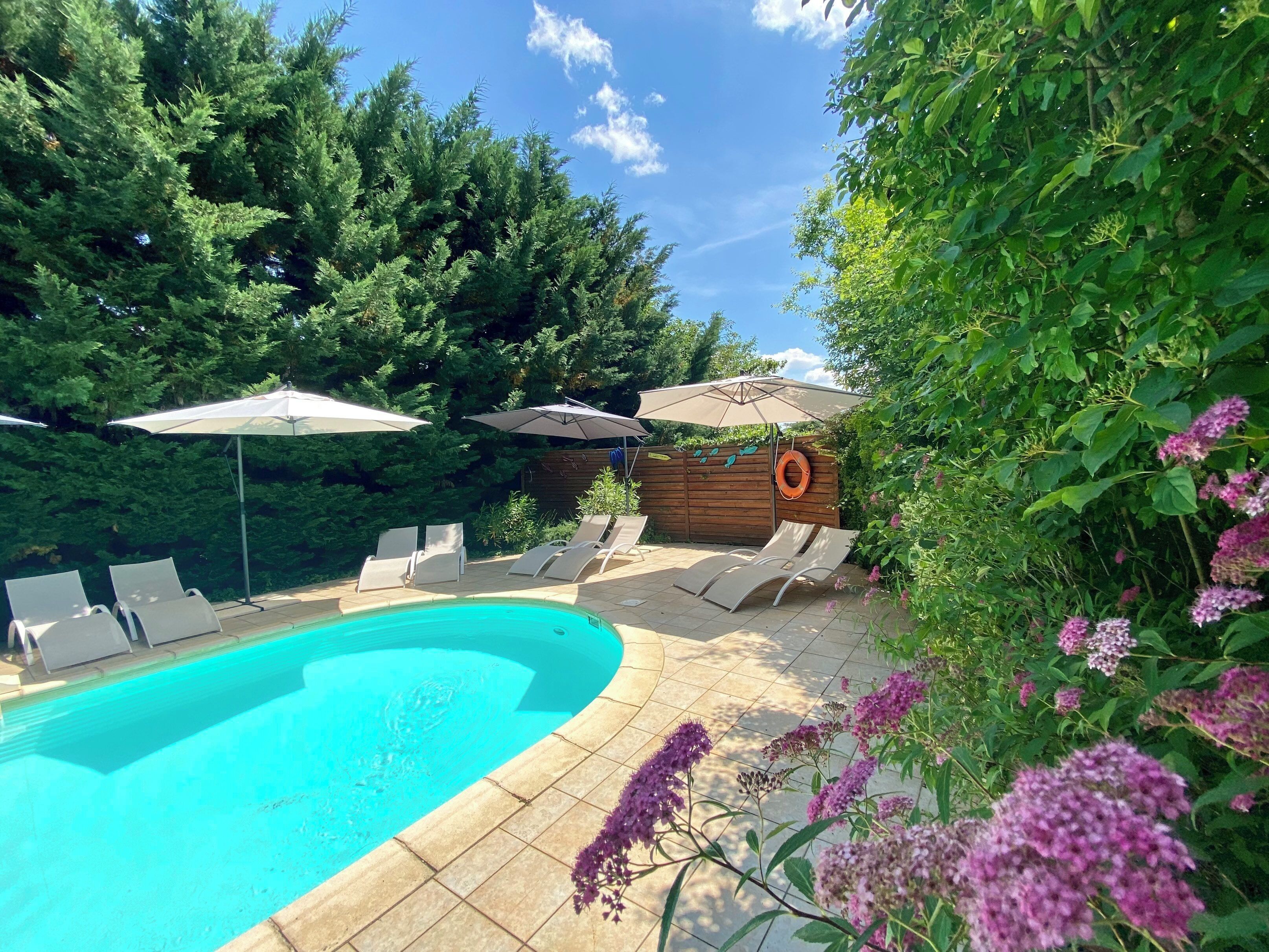 Seasonal outdoor pool, open 10:00 AM to 8:00 PM, sun loungers