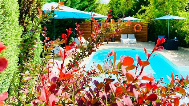 A swimming pool surrounded by lush greenery and wooden structures.