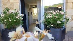 A view of a hallway leading to a room with a window overlooking a landscape. There are two potted plants with flowers in the foreground.
