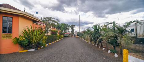 A gravel driveway leading to a building with a yellow facade, surrounded by greenery and palm trees.