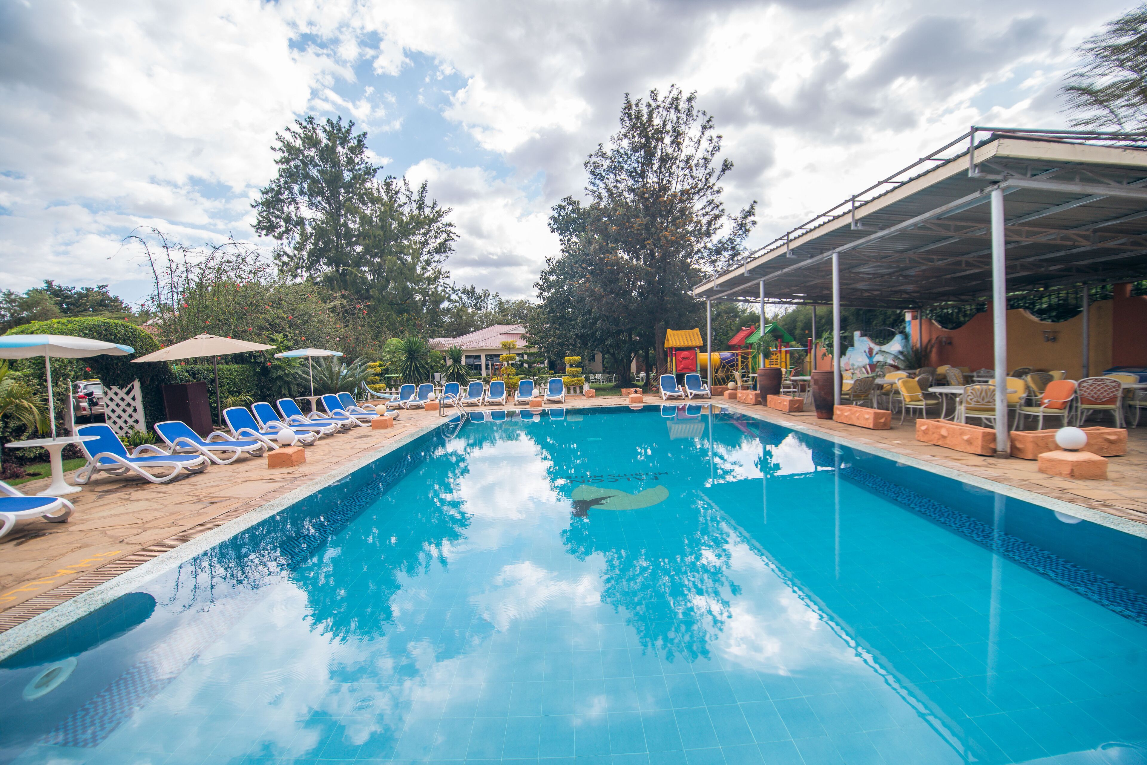Outdoor pool, sun loungers