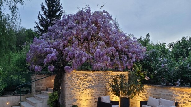 Un patio con muro de piedra, mobiliario exterior y plantas florecientes de color morado.