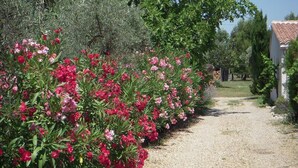 A gravel path flanked by rows of pink and red flowers, leading to a building with a red-tiled roof. - Holiday home on a quiet, shady, private property (Arles)