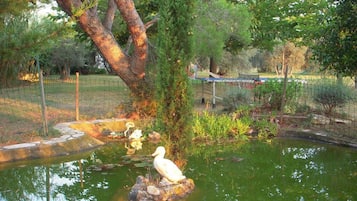 Jardines del alojamiento