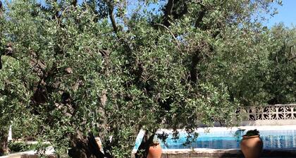 Ferienhaus auf parkähnlichem Privatanwesen mit Pool bei Arles in der Provence