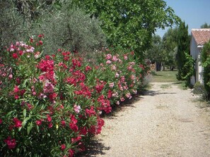 Property grounds - Holiday home on a quiet, shady, private property (Arles)