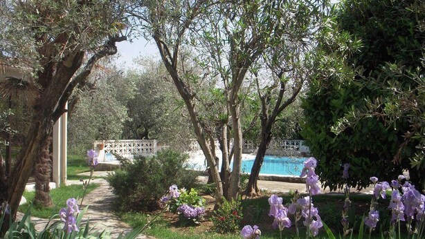 A garden pathway leading to a pool area with trees and purple flowers. - Holiday home on a quiet, shady, private property (Arles)
