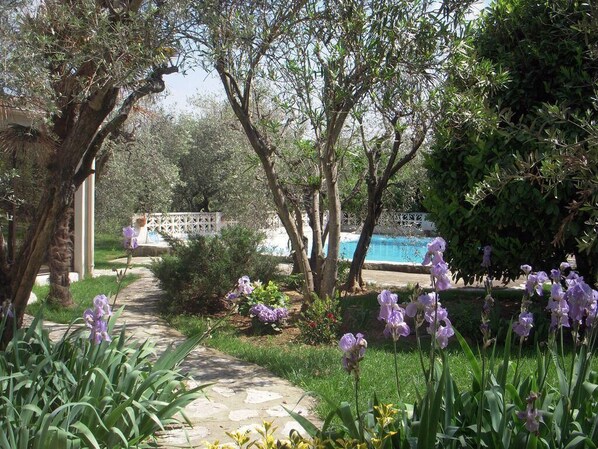 Property grounds - Holiday home on a quiet, shady, private property (Arles)