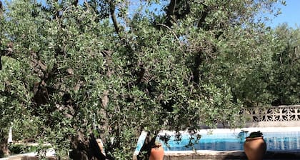 Holiday flat of the size of 45 m² on a large estate with pool close to Arles