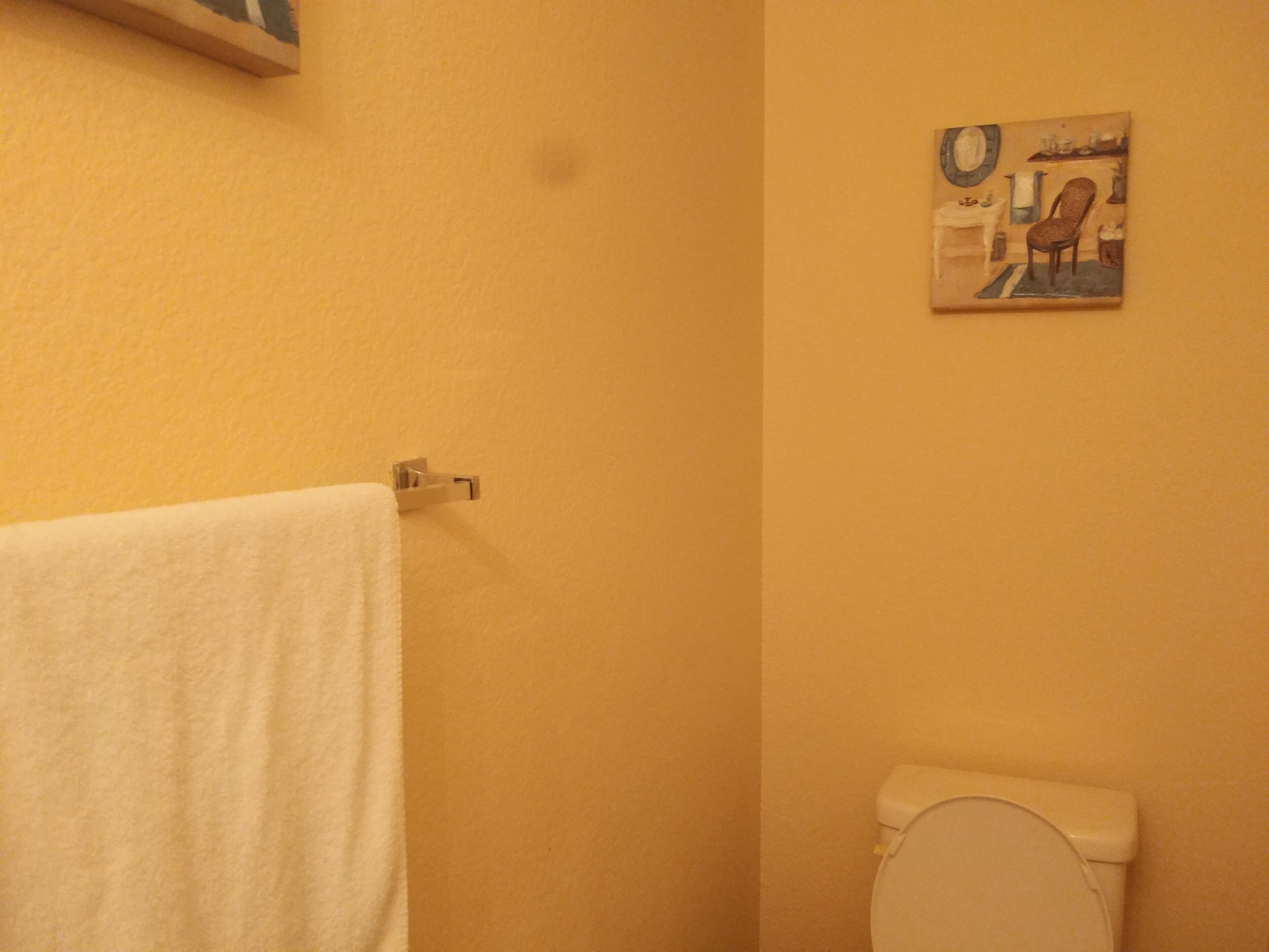 A bathroom with a white toilet, a towel hanging on a rack, and a painting on the wall.