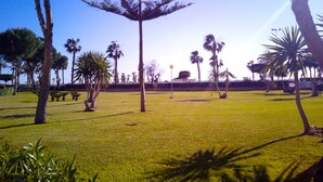 A park with various trees, including palm trees and a pine tree, and a clear sky.