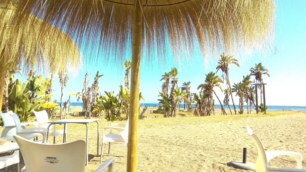 A beachside seating area with white plastic chairs and a straw umbrella.