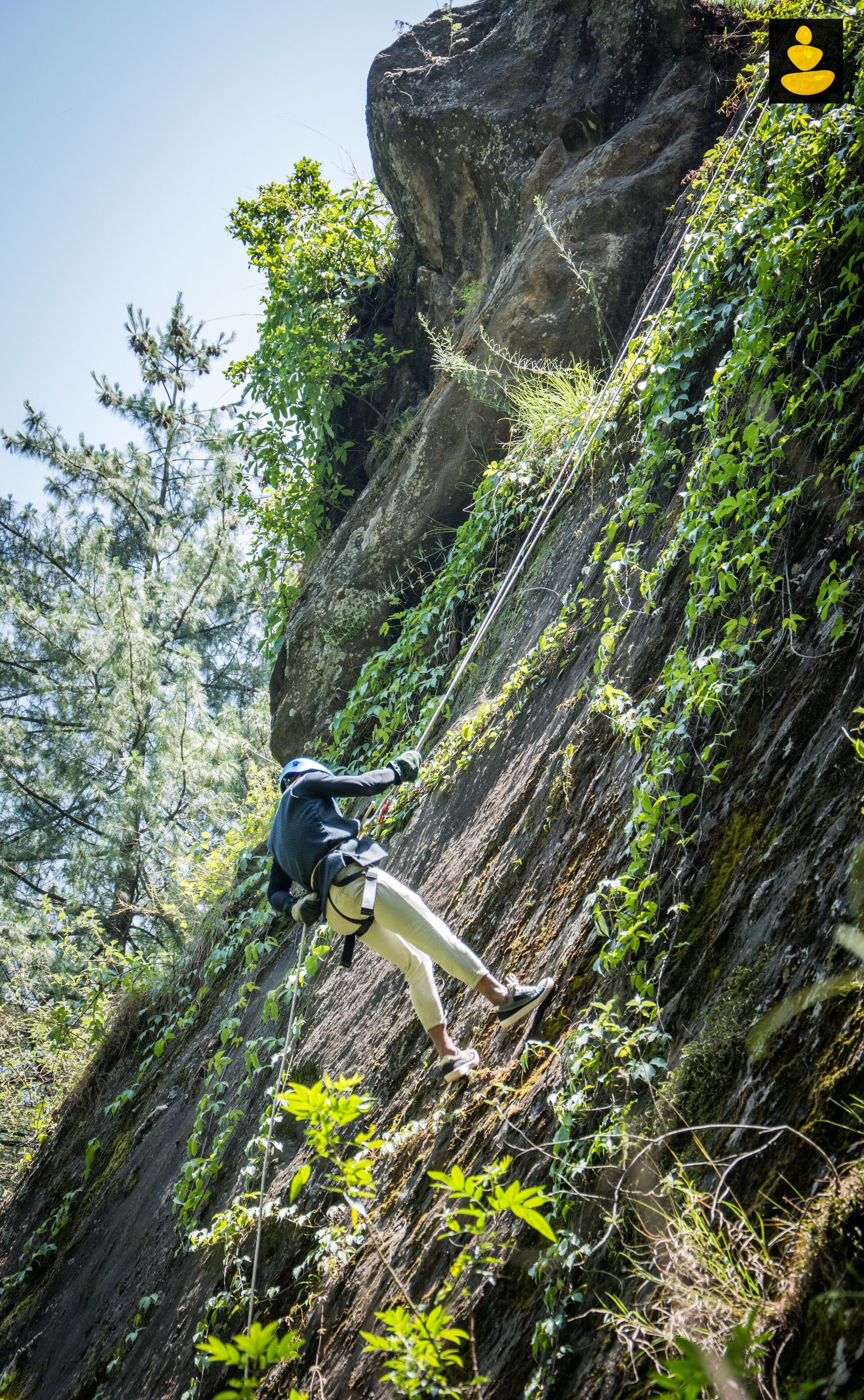 Livingstone ojuven Family Tree House