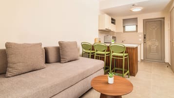 Junior Suite Apartment | 私人简易厨房 | 冰箱、炉灶、茶具/咖啡用具、电热水壶