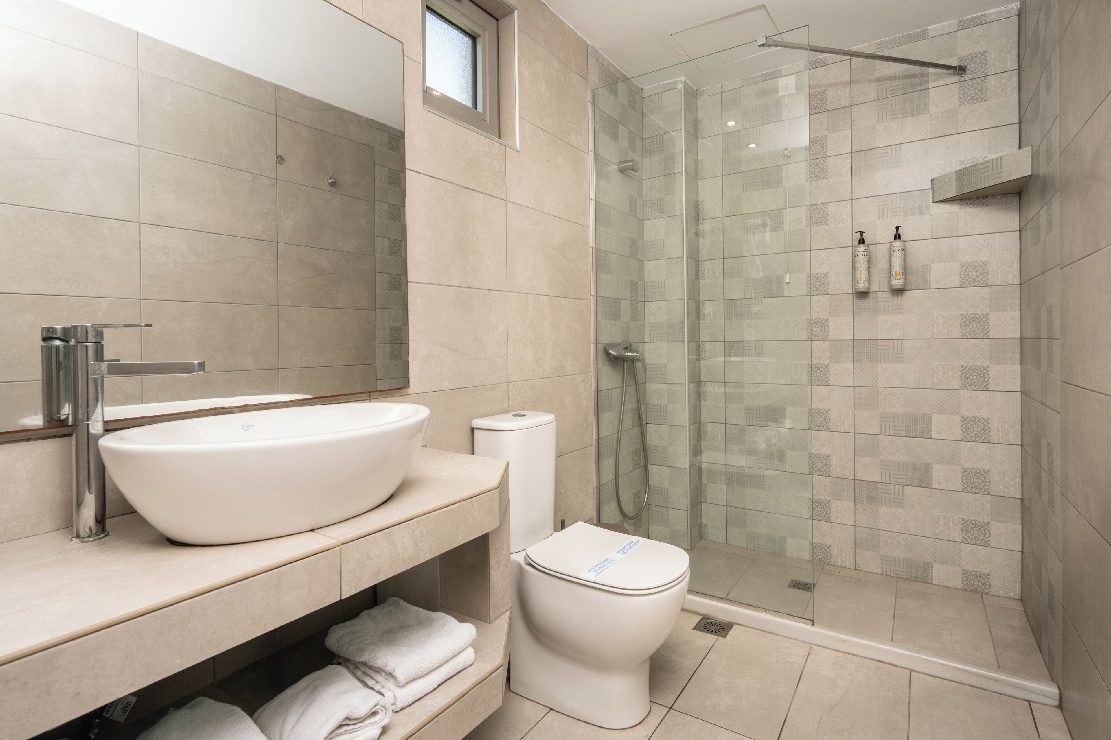 Junior Suite Apartment | Bathroom | Shower, hair dryer, towels, soap