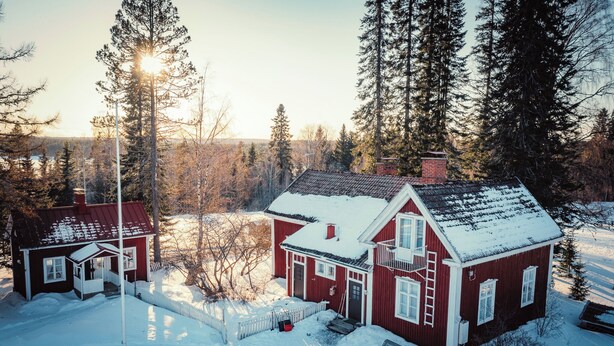 A red wooden house with a snow-covered roof, surrounded by tall pine trees and a clear sky. - Valkeisen Loma (Ahtari)